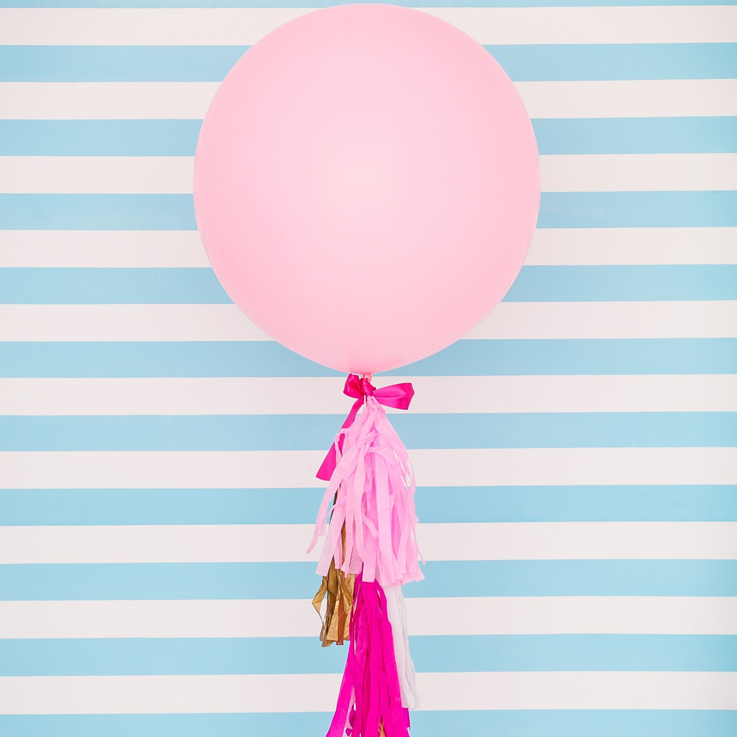 Pastel Tassel Balloon Weight Tail 6ft