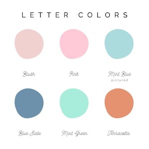 May include: A chart with six color swatches, each with a name below. The colors are blush, pink, mint blue, blue slate, mint green, and terracotta.