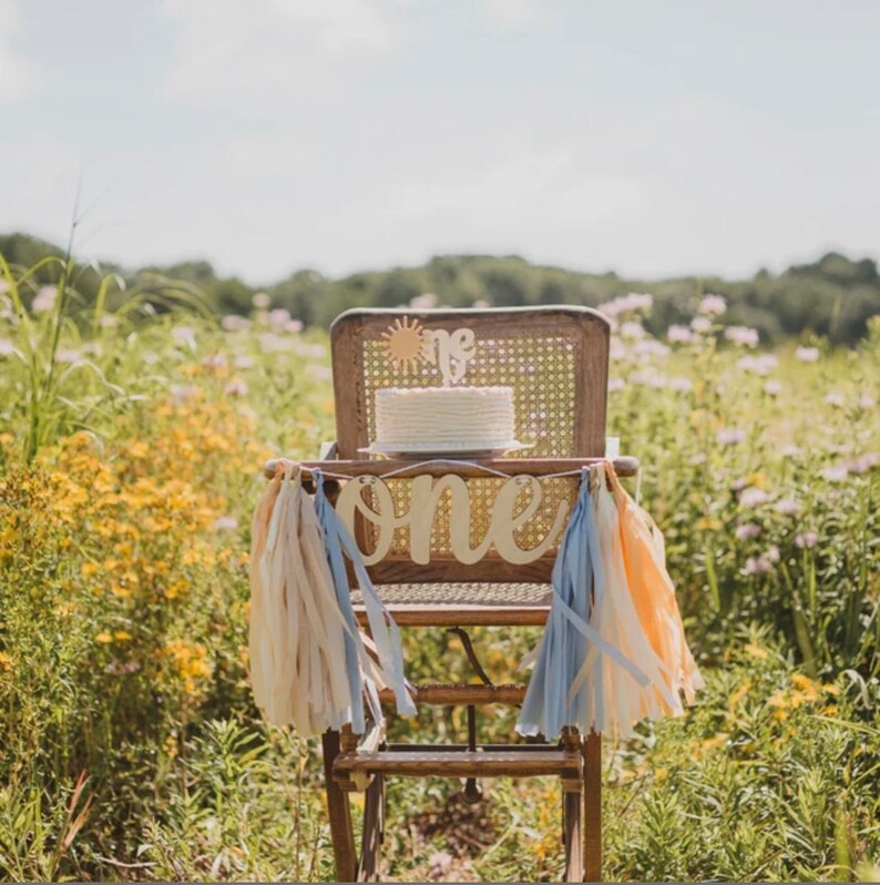 Puede incluir: Una silla alta de madera con un pastel blanco en la parte superior y una pancarta que dice "one" en frente. La silla est&aacute; decorada con borlas azules y melocot&oacute;n. La silla est&aacute; en un campo de flores amarillas.