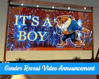 BOY Gender Reveal Video Announcement| Gender Reveal | Wall projection and instant messaging