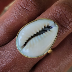 May include: A gold ring with a white cowrie shell set in the center. The shell has a dark brown center and a white outer edge.