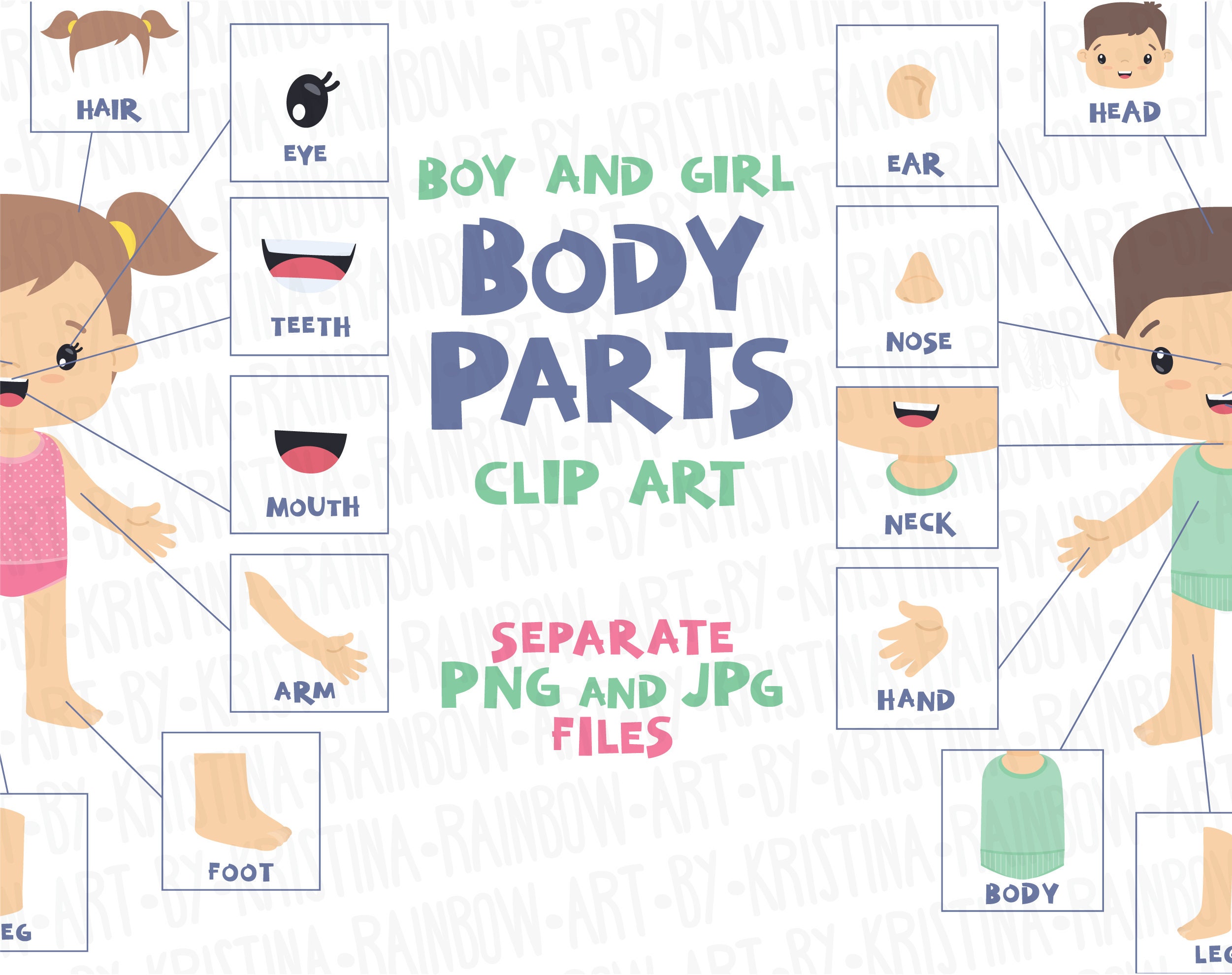 Body Parts Clip Art