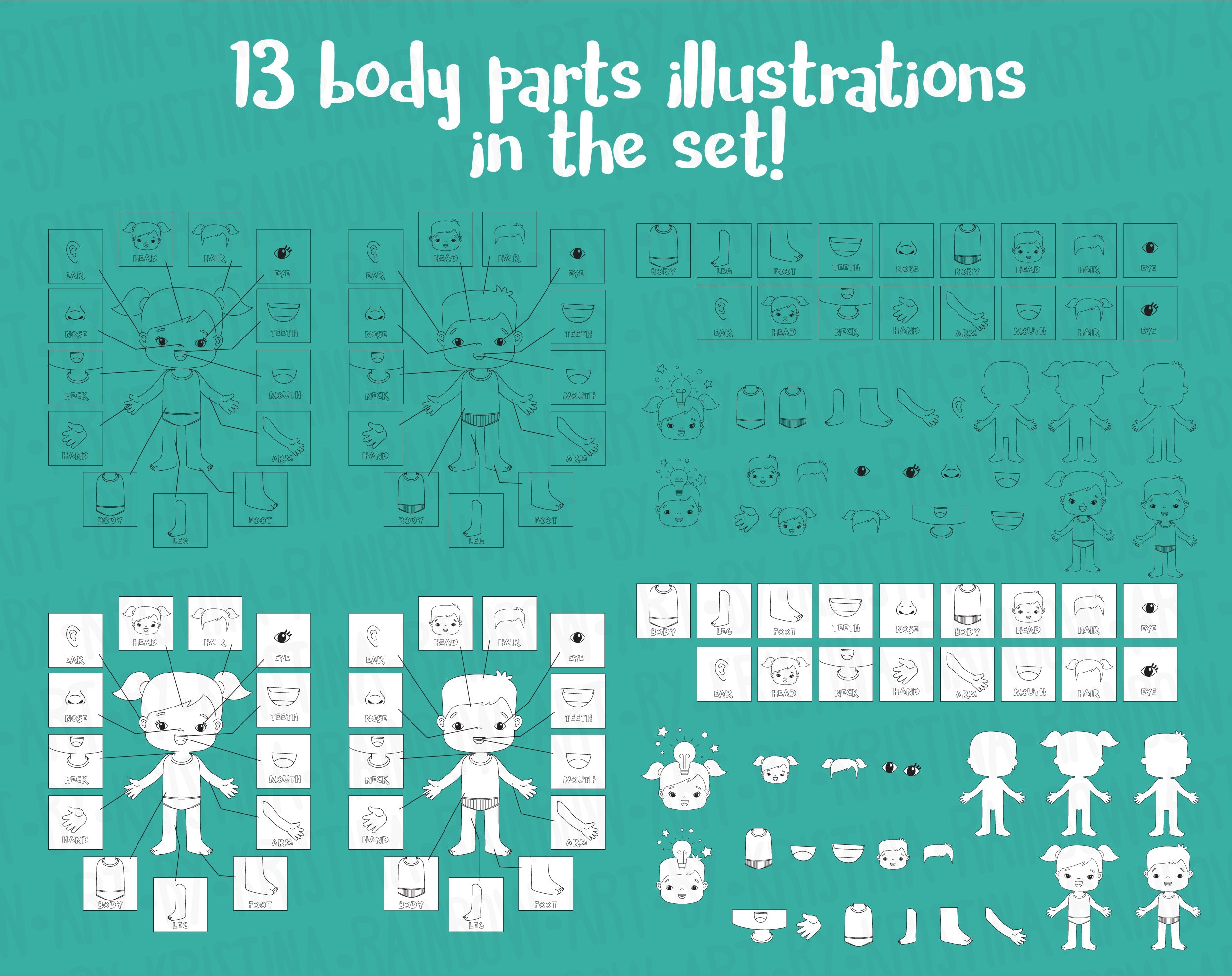 Boy and Girl Body Parts Clip Art,visual Scheme Illustration,human ...