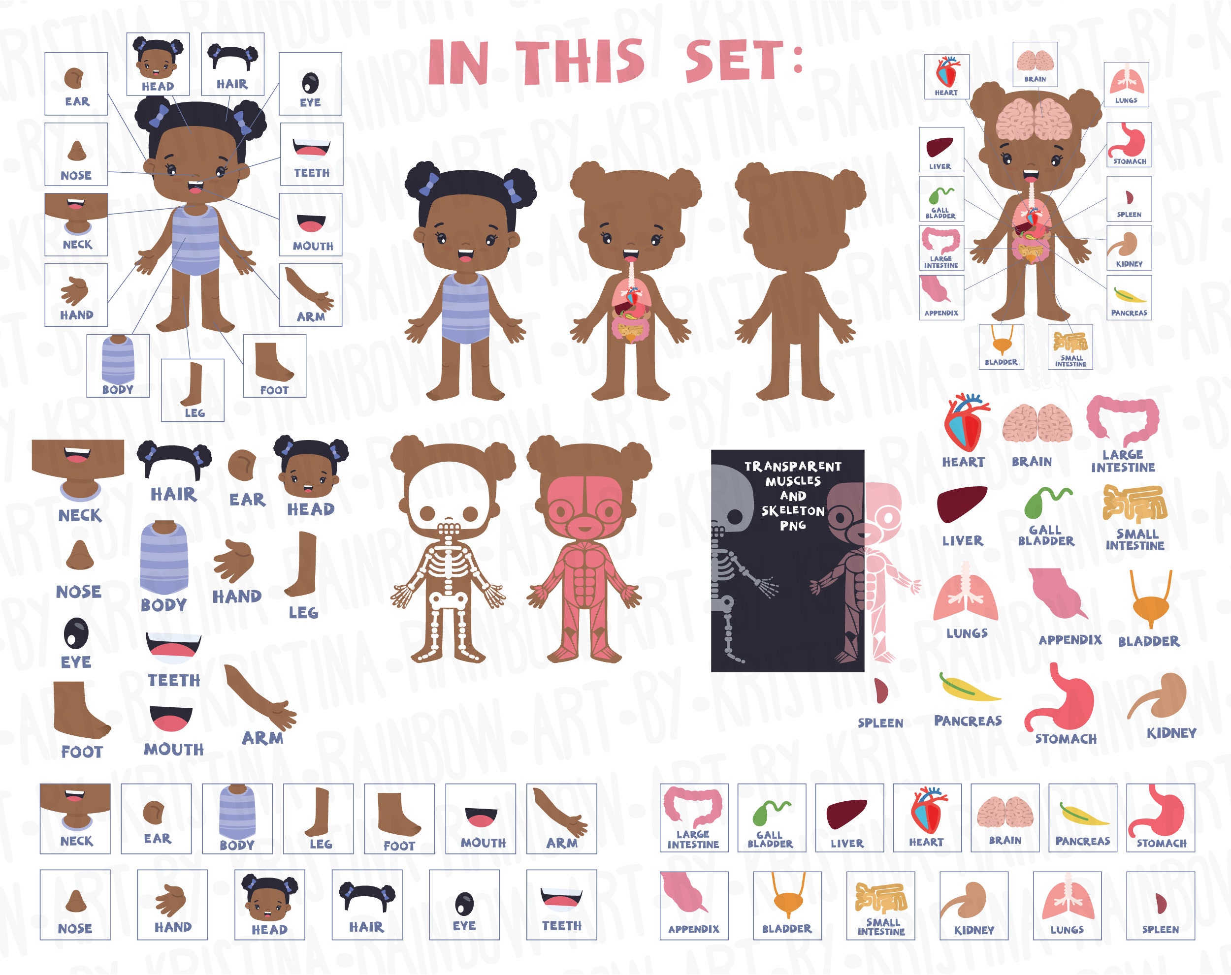 African American Girl Anatomy Clip Art,visual Scheme Illustration ...