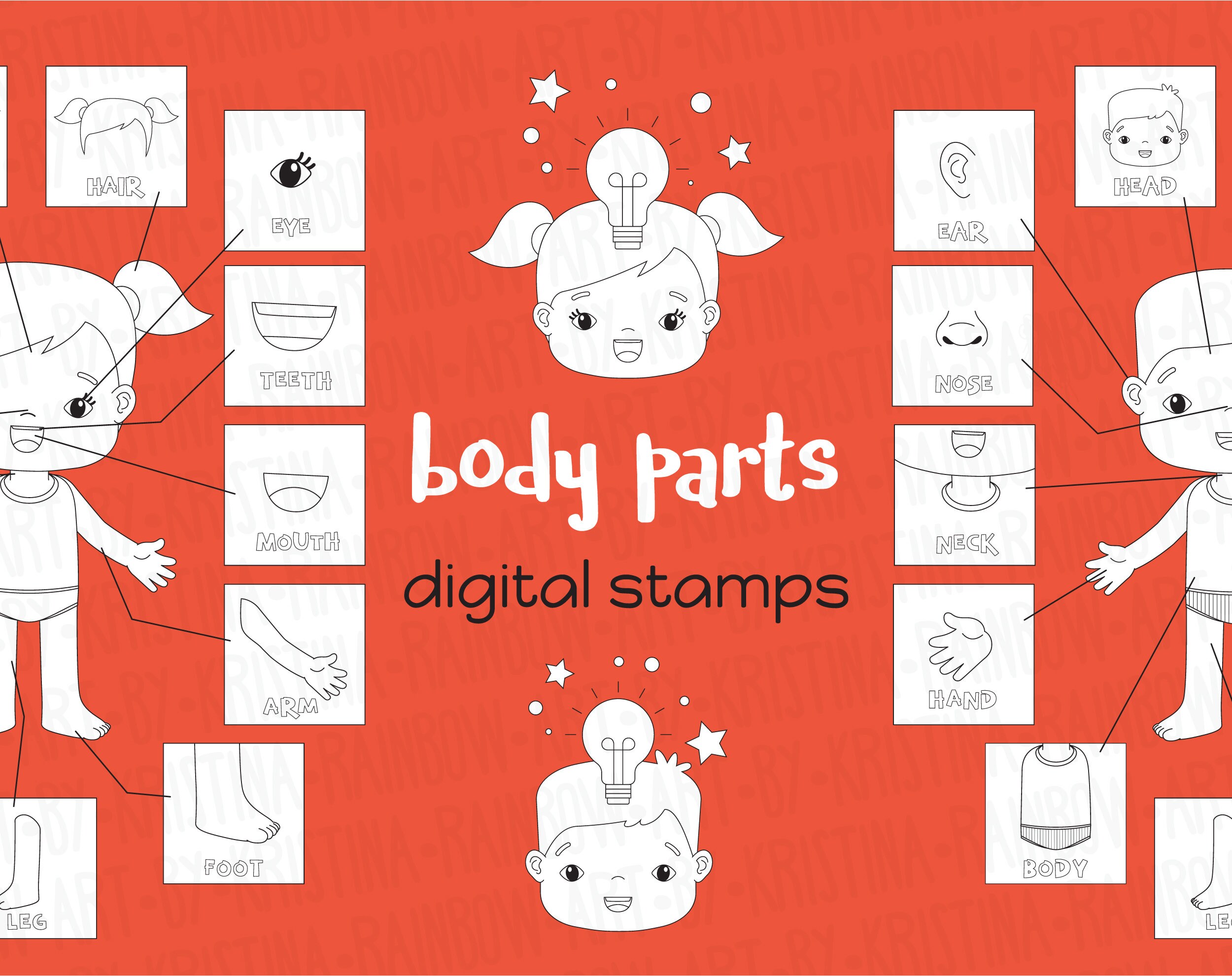 Boy and Girl Body Parts Clip Art,visual Scheme Illustration,human ...