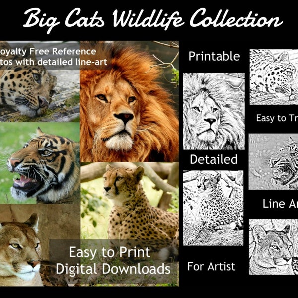 Lizenzfreie Referenzfotos, druckbare Line Art, Wildlife Referenzfotos, Digitaldruck, Lineart, druckbares Referenzfoto, Zeichnungshilfe