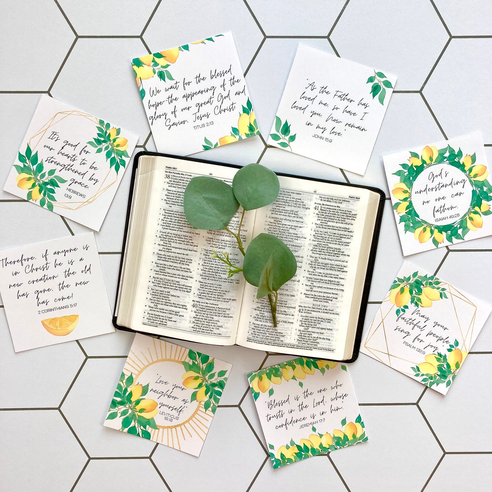 Watercolor Lemons Scripture Cards With Stand Weekly Bible Etsy