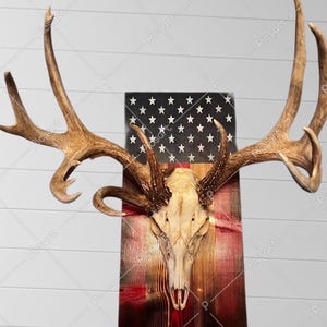 European deer mount plaque