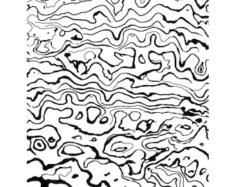 Polymer Clay Siebdruck (Abalone Muschel - Neuseeland Paua Muschel) Jessama Design Silkprint #51