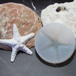 3. Starfish Silicone Mold