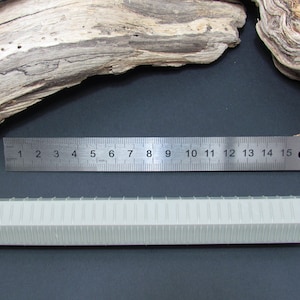 May include: A grey plastic ruler with markings in inches and centimetres. The ruler is 15 inches (38 cm) long and is lying on a black surface.