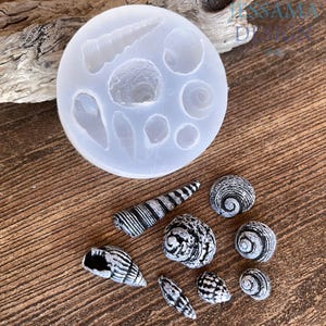 May include: A clear silicone mold with various seashell shapes, alongside several black and white painted seashells. The mold features different shell designs, including conch and spiral shapes. The painted shells have intricate patterns.