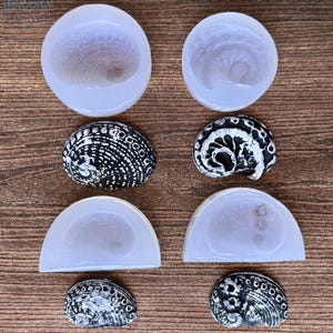 Könnte beinhalten: Eine Auswahl an Muscheln und muschelförmigen Objekten. Die Muscheln haben verschiedene Formen, darunter rund und halbmondförmig, und weisen eine Mischung aus weißen, schwarzen und irisierenden Farben auf. Die Objekte sind auf einer Holzoberfläche angeordnet.