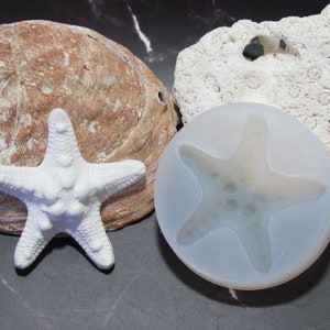 2. Starfish Silicone Mold