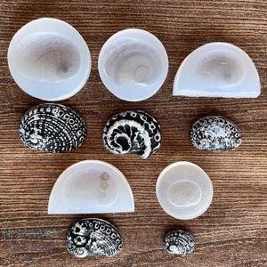 May include: A collection of seashell moulds and painted seashells. The moulds are white and in various shapes, including round and semi-circular. The painted seashells are black and white, with intricate patterns.