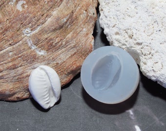 2. Cowrie Shell Mold