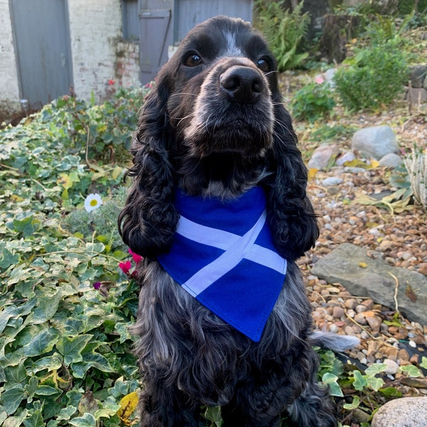 St. Andrews / Scotland / Saltire Flag Dog Bandana / Dog Neckwear / Adjustable / Hook & Loop Fastening / 4 Sizes