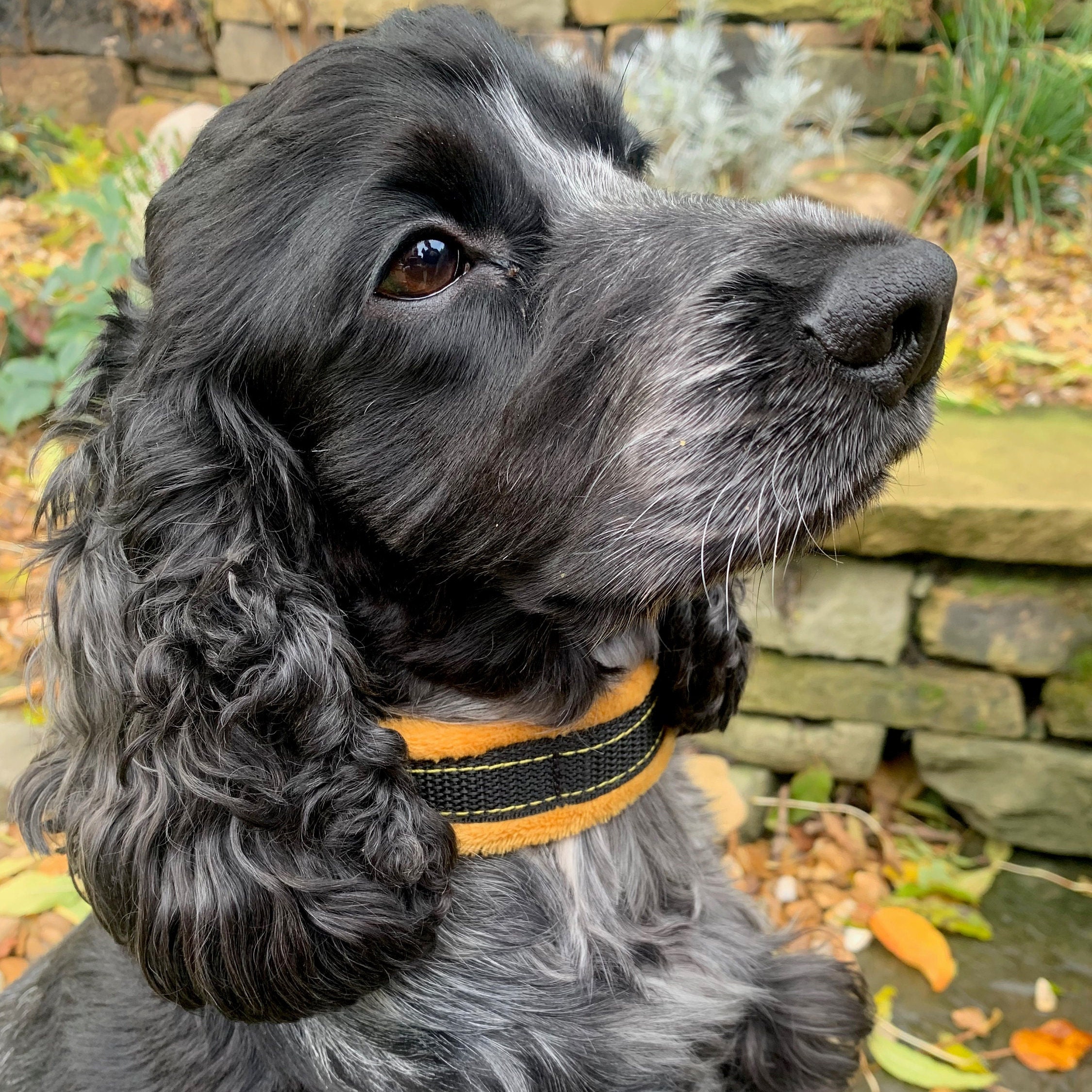 Fleece Dog Collar / Luxury Dog Neckwear / 5 Sizes Available / Etsy UK