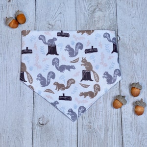 Squirrel Reversible Bandana