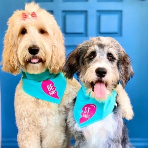 Best Friends Set of Bandanas