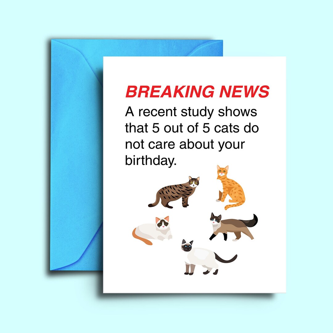 Funny Sarcastic Happy Birthday Card for Cat Owner, Cat Lover, Crazy Cat ...