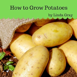 How to Grow Potatoes, growing potatoes at home, vegetable garden, healthy living, instant download, grow potatoes