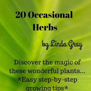 Grow 20 occasional herbs at home, herb book instant download, growing herbs, herb garden, healthy living, family food