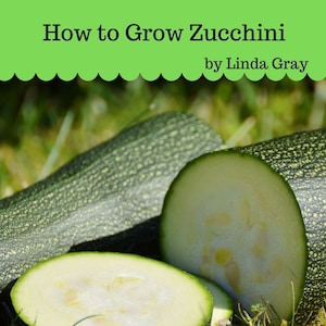 How to grow zucchini, growing courgettes, gardening guide, garden book instant download, garden gift, vegetable garden, healthy living