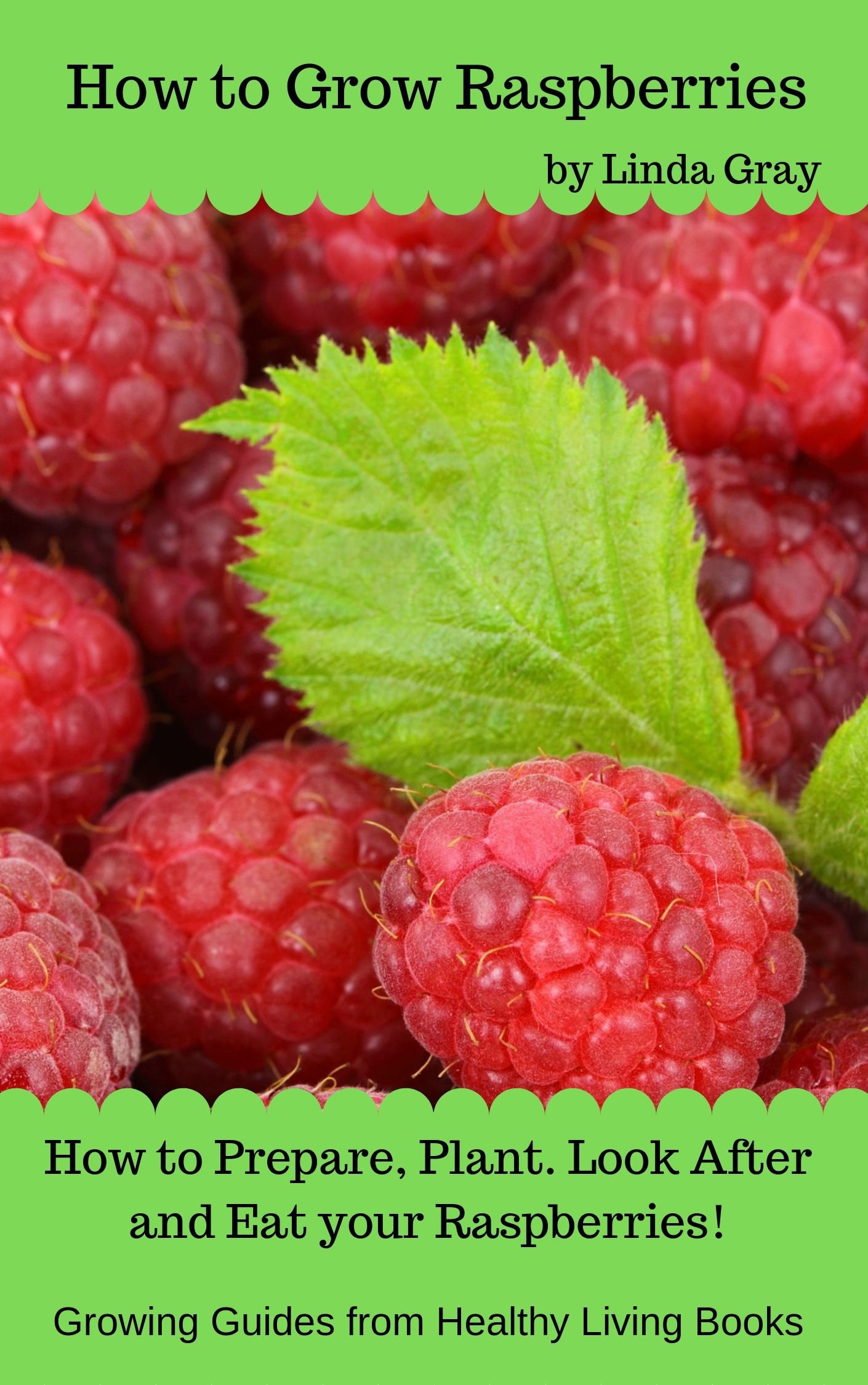 How to Grow Raspberries, Growing Guide, Growing Raspberries at Home