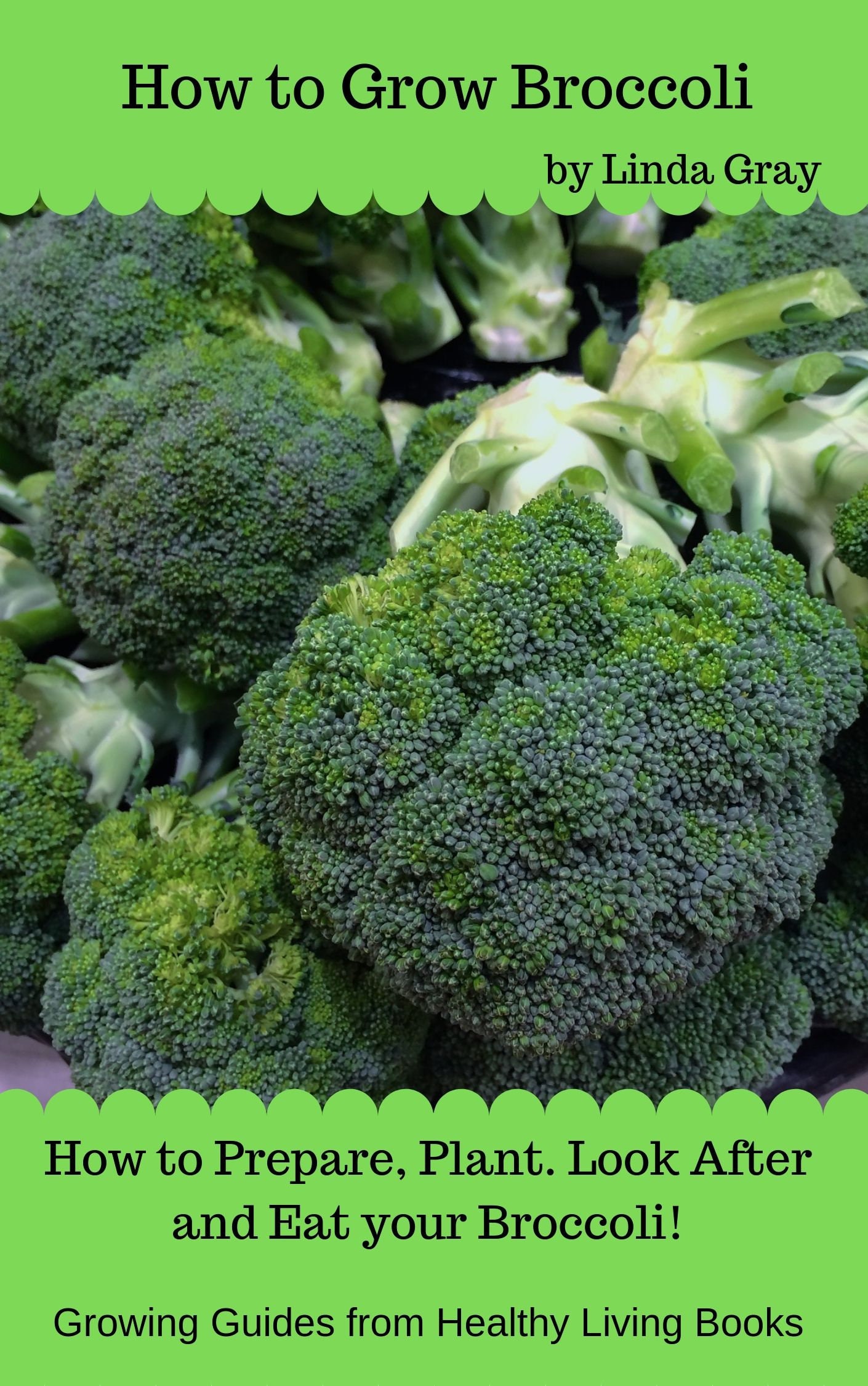 How to Grow Broccoli, Growing Broccoli at Home, Vegetable Garden
