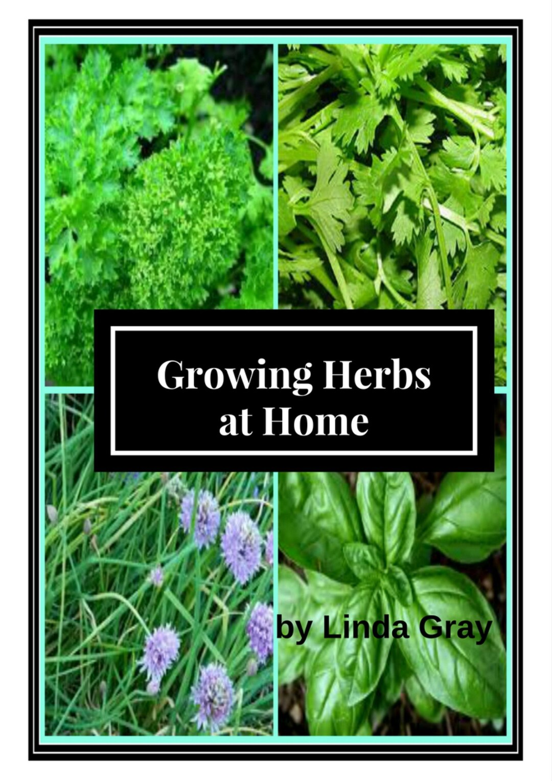Growing Herbs at Home Instant Book Download How to Grow Etsy