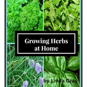 Growing Herbs at Home, instant book download, how to grow everyday herbs, healthy living, growing herbs, family food