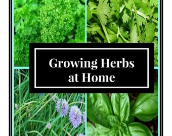 Growing Herbs at Home, instant book download, how to grow everyday herbs, healthy living, growing herbs, family food