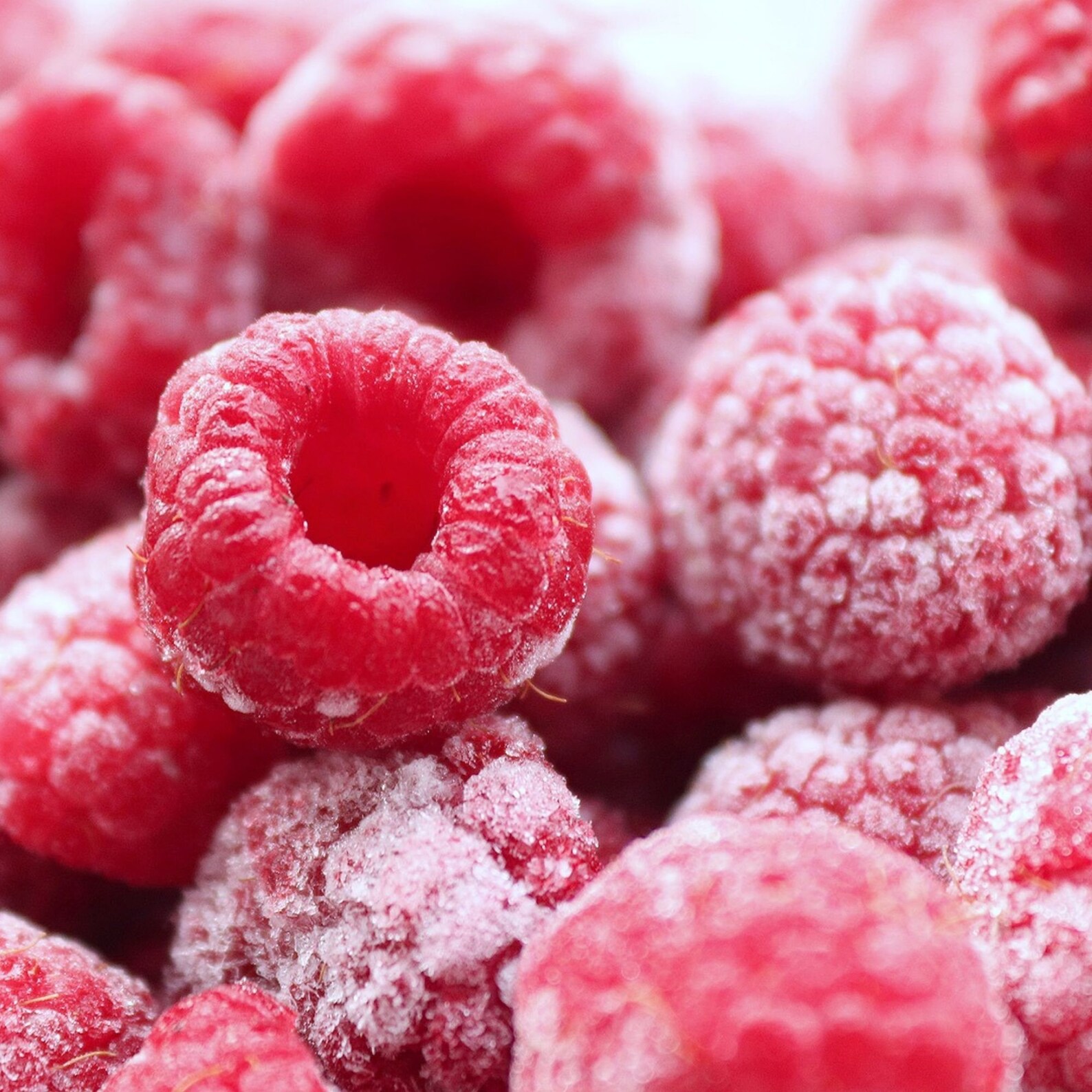 How to Grow Raspberries, Growing Guide, Growing Raspberries at Home