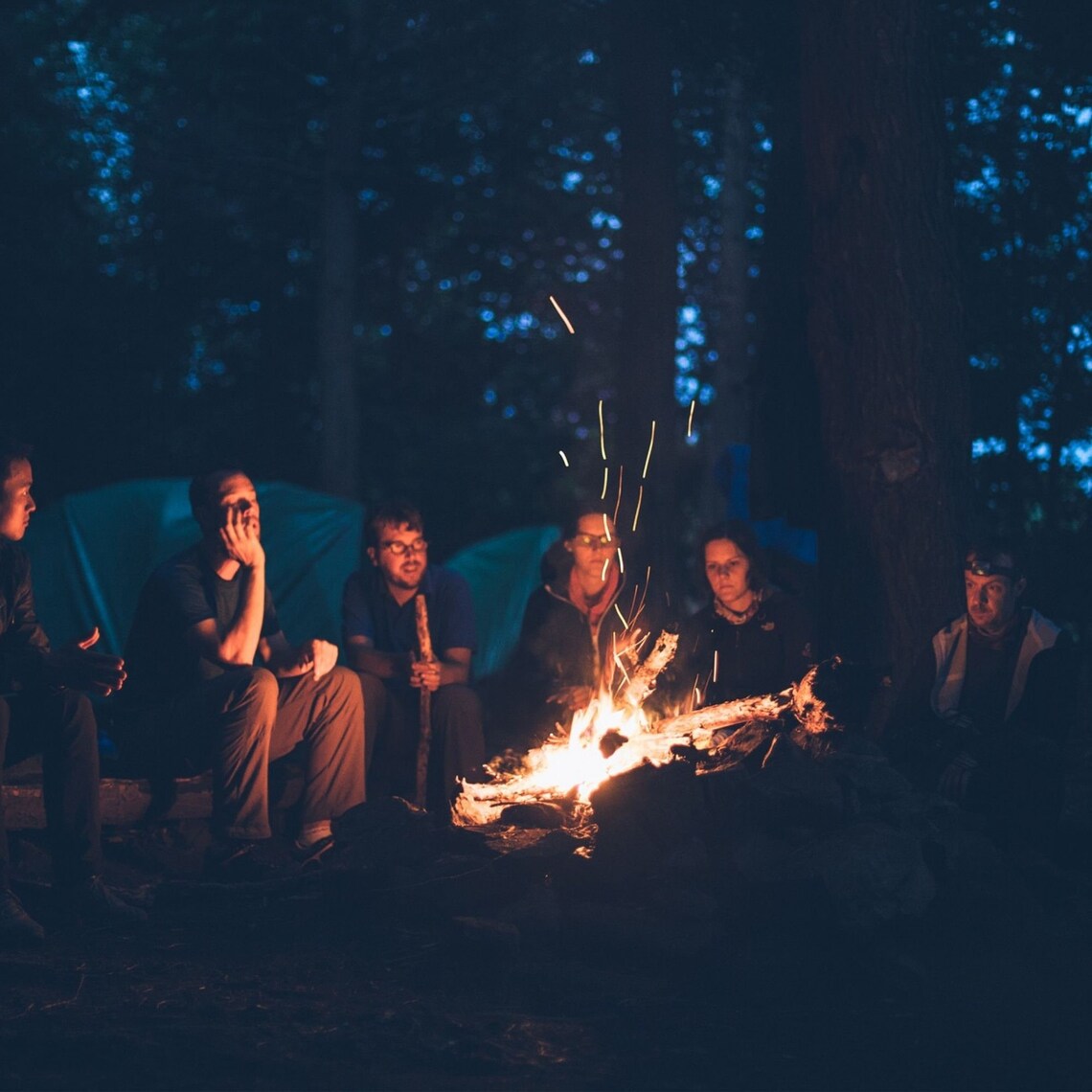 Organic Garden Party Planner Party Planner Garden Party Etsy