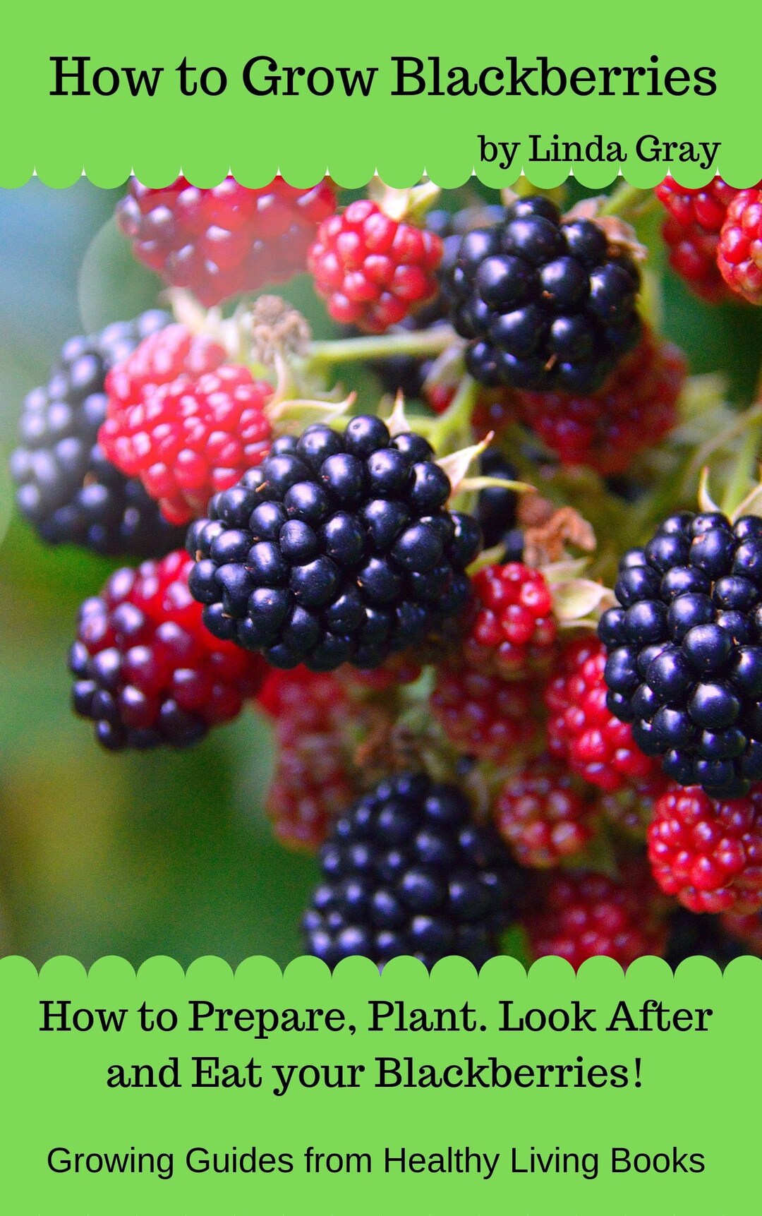 How to Grow Blackberries, Growing Blackberries at Home, Garden Book