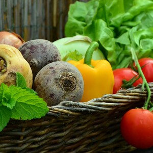 Growing Everyday Vegetables, gardening and growing food instant book download, vegetable garden, healthy living