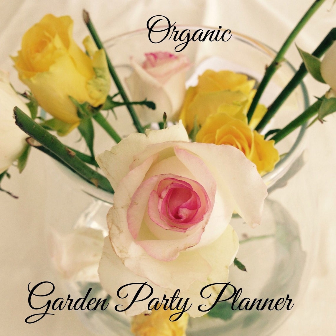Organic Garden Party Planner Party Planner Garden Party Etsy