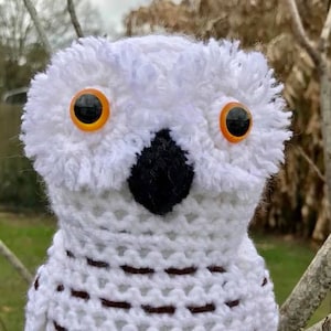 Snowy Owl