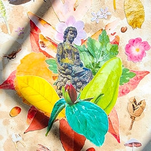 Set de pegatinas de naturaleza misteriosa - Materiales para collages de vida silvestre de Ohio - Arte de flora, fauna y hongos - Diario basura cottagecore - Ecología - Educativo