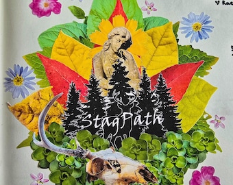 Mystery Nature Sticker Set - Ohio Wildlife Collage Supplies - Flora, Fauna, & Fungi Art - Cottagecore Junk Journal  - Ecology - Educational