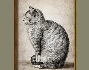 Vintage Cat Wall Art, Sitting Cat Print, Line Drawing Illustration, Printable Cat /R112