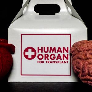 Juego de bombas de baño para trasplante de órganos humanos imagen 1