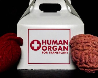 Human Organ Transplant Bath Bomb Set