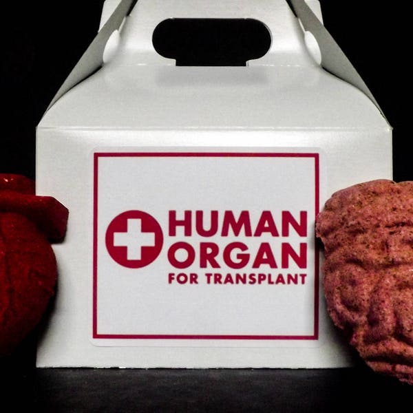 Human Organ Transplant Bath Bomb Set