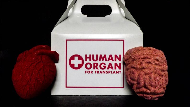 Juego de bombas de baño para trasplante de órganos humanos imagen 1