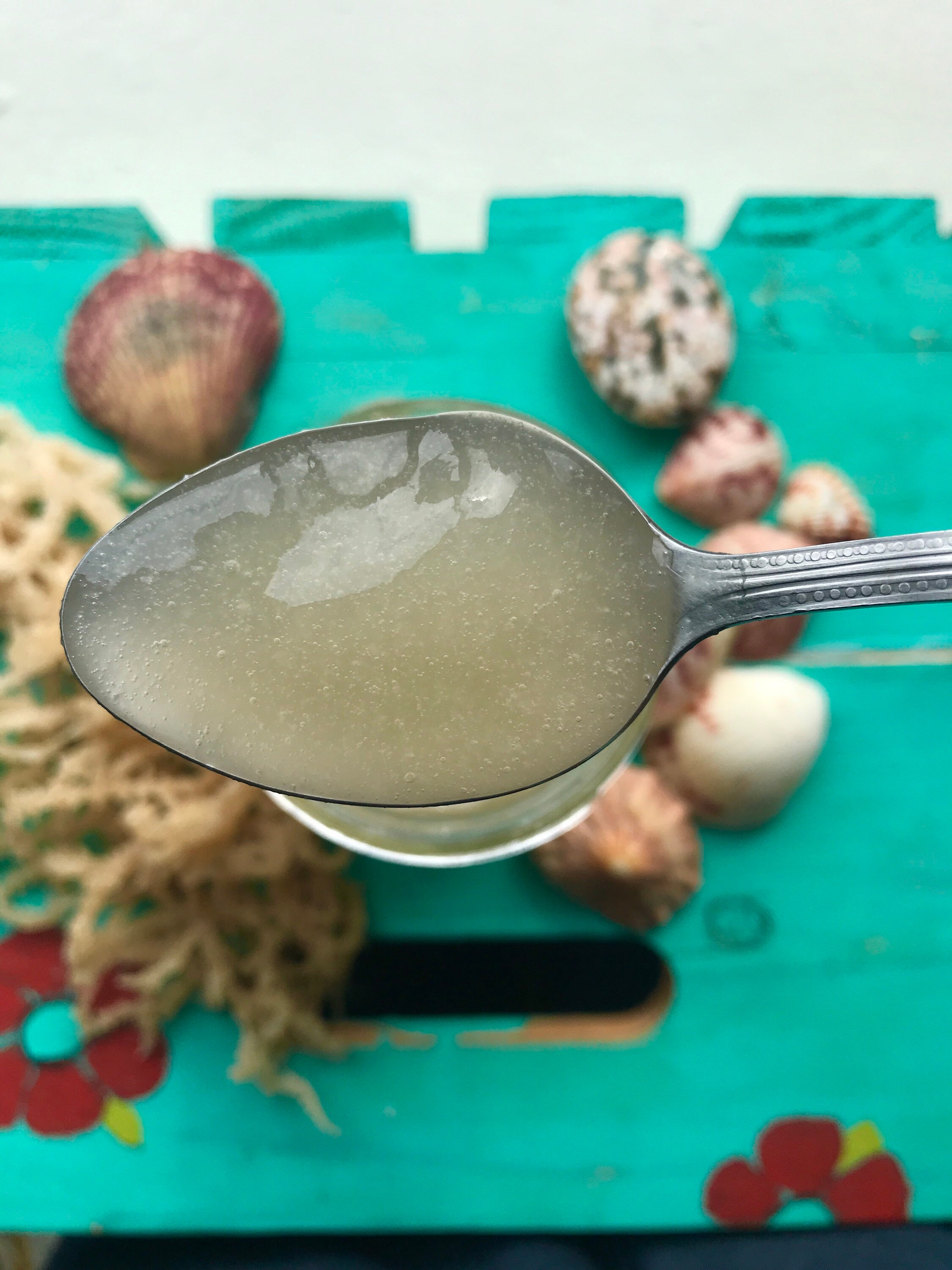 Organic Vegan Sea Moss Gel Etsy