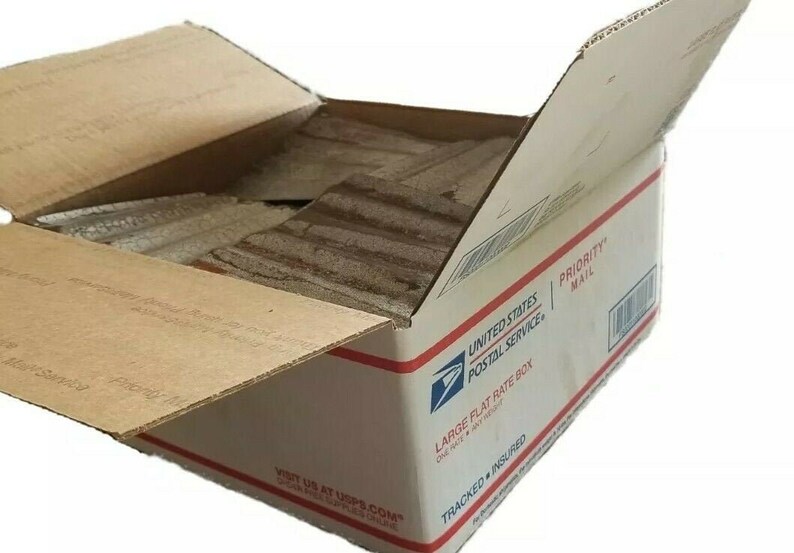 May include: A brown cardboard box with the United States Postal Service logo and the words "PRIORITY MAIL" and "LARGE FLAT RATE BOX". The box is open and filled with brown paper.