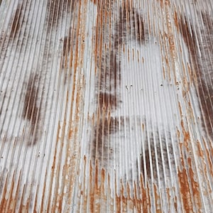 May include: A close-up of a rusty corrugated metal sheet. The metal is a light gray color with brown rust streaks and spots. The sheet is made of multiple panels that are joined together.