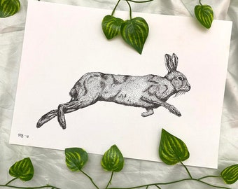 Original illustration // hare